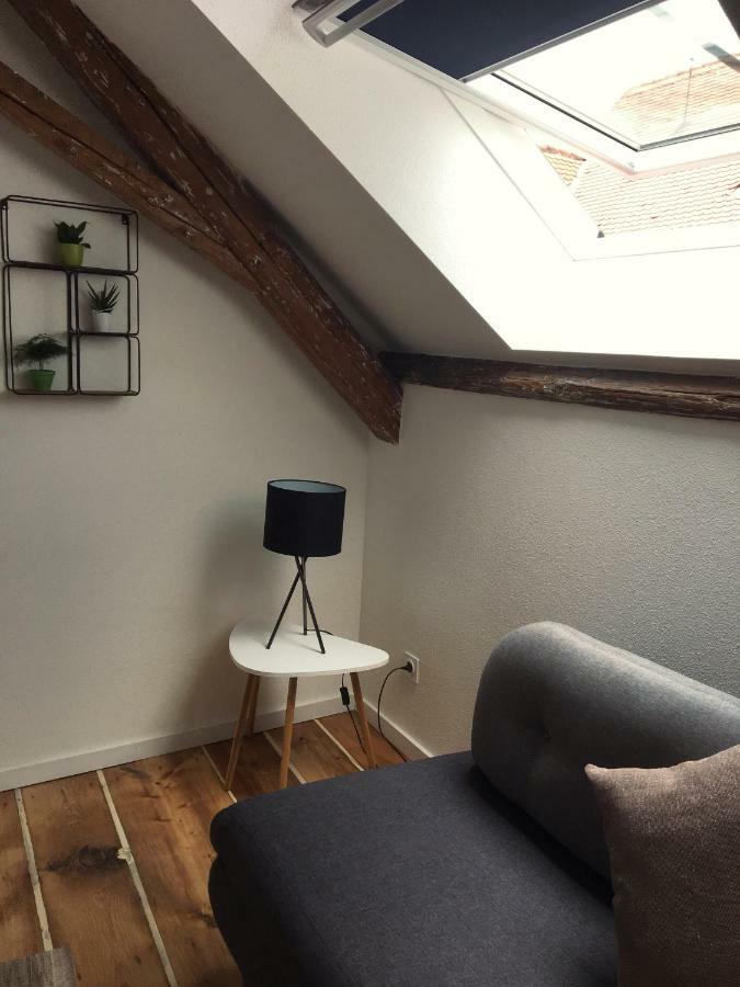 Apartmán L'Ours Colmar Exteriér fotografie